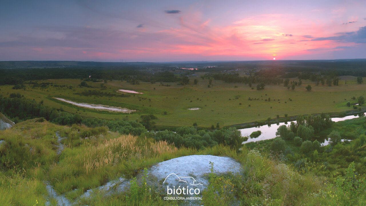Biótico Consultoria Ambiental
