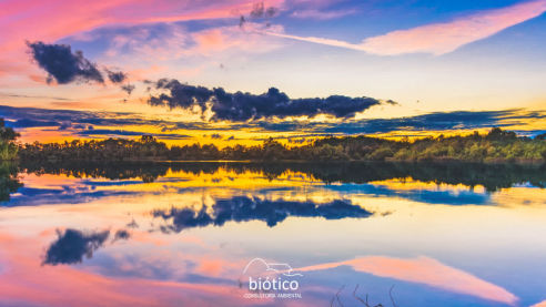 Biótico Consultoria Ambiental