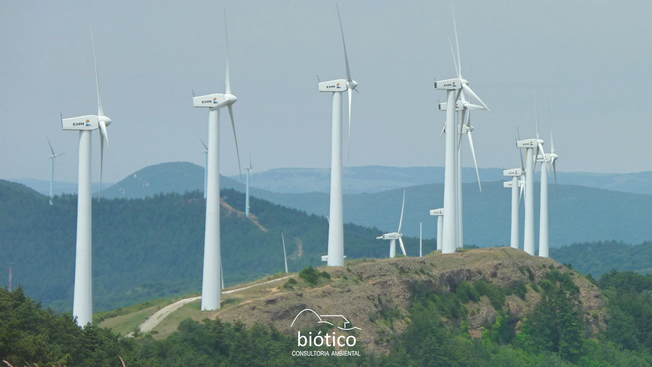 Biótico Consultoria Ambiental