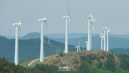 Biótico Consultoria Ambiental